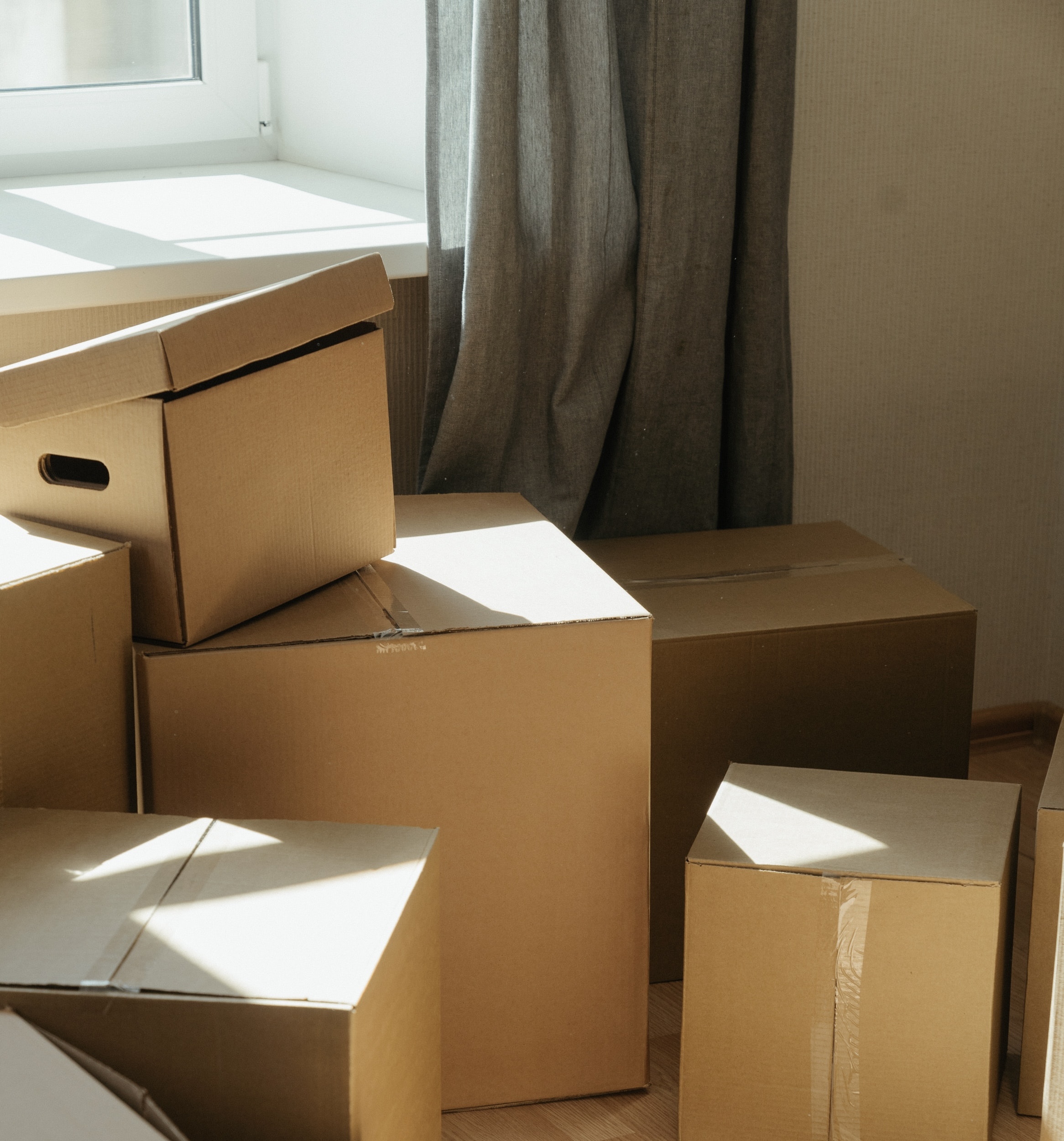 Sereine, l'ordre des choses